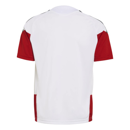 Maillot entraînement junior Allemagne blanc rouge