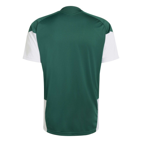 Maillot entraînement Italie vert blanc