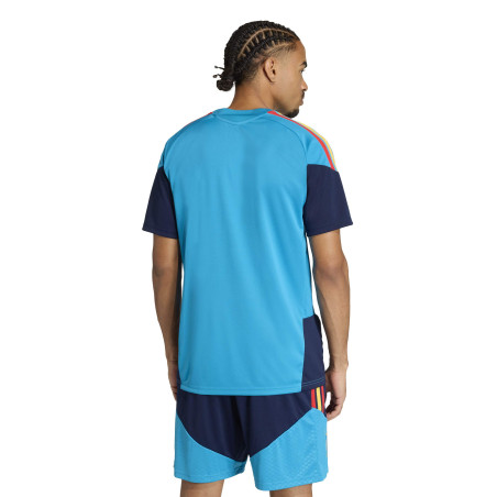 Maillot entraînement Espagne bleu