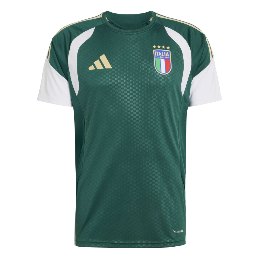 Maillot entraînement Italie vert blanc