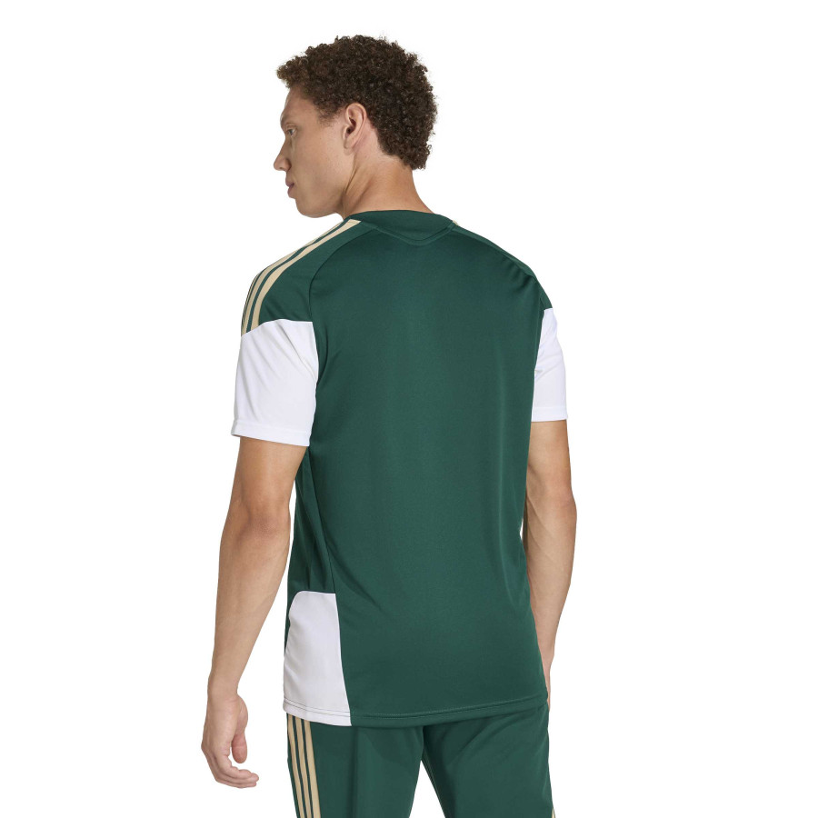 Maillot entraînement Italie vert blanc