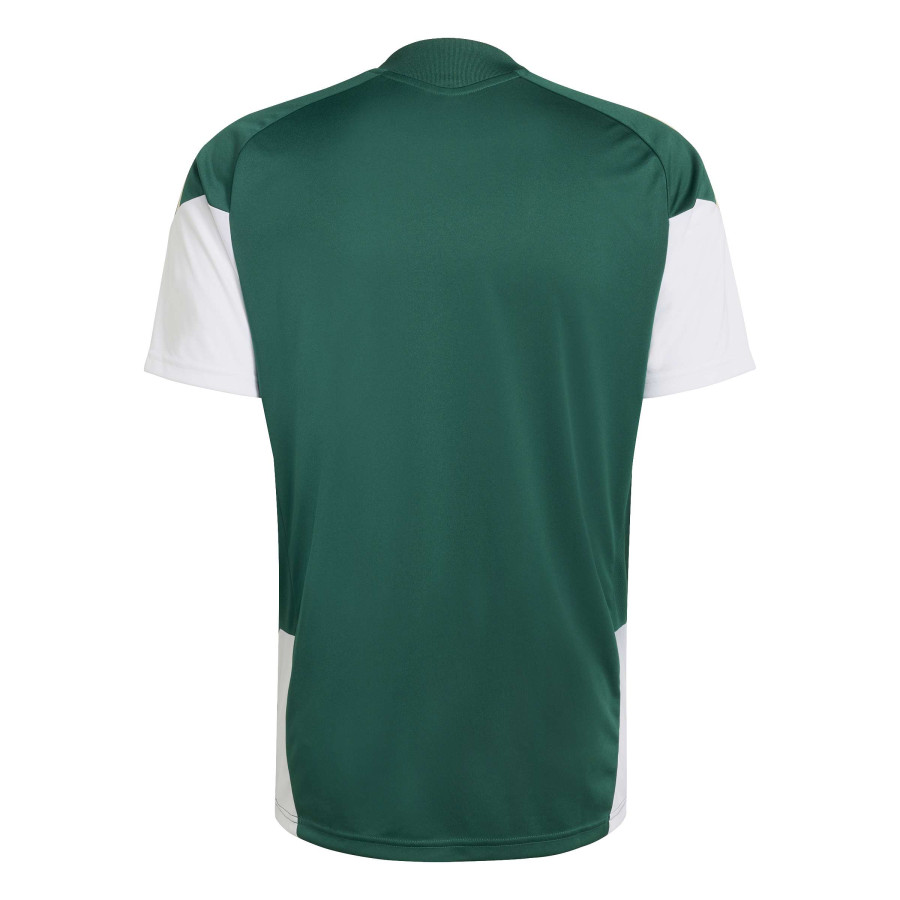 Maillot entraînement Italie vert blanc