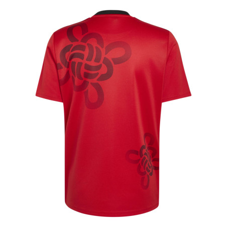 Maillot Manchester United Cultural Story rouge