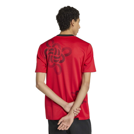 Maillot Manchester United Cultural Story rouge