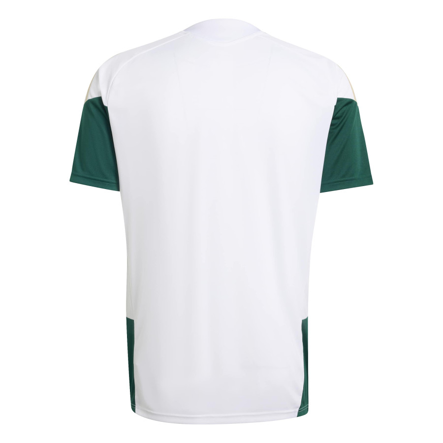 Maillot entraînement Italie blanc vert