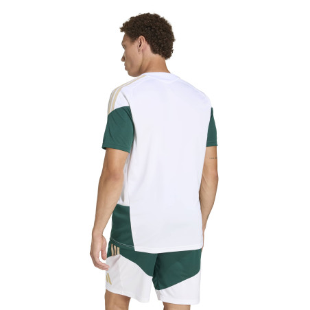 Maillot entraînement Italie blanc vert