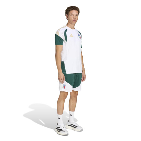 Maillot entraînement Italie blanc vert