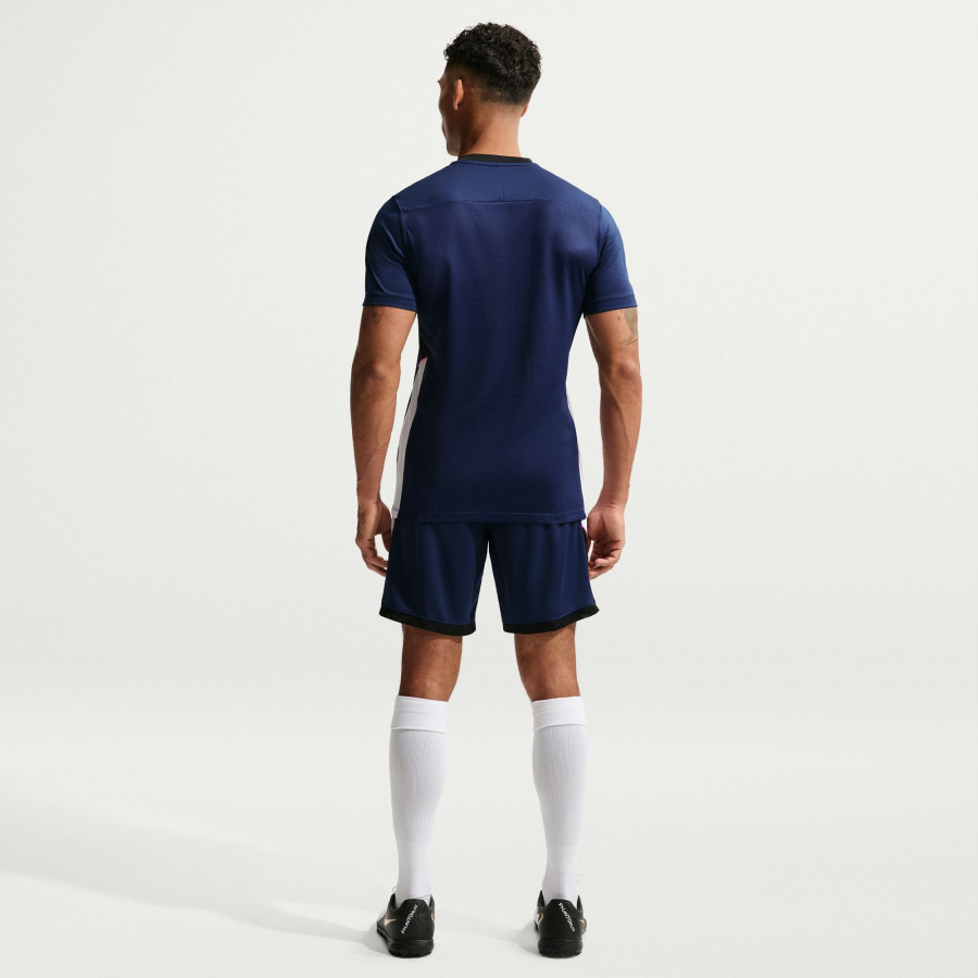 Short Nike Academy bleu rose