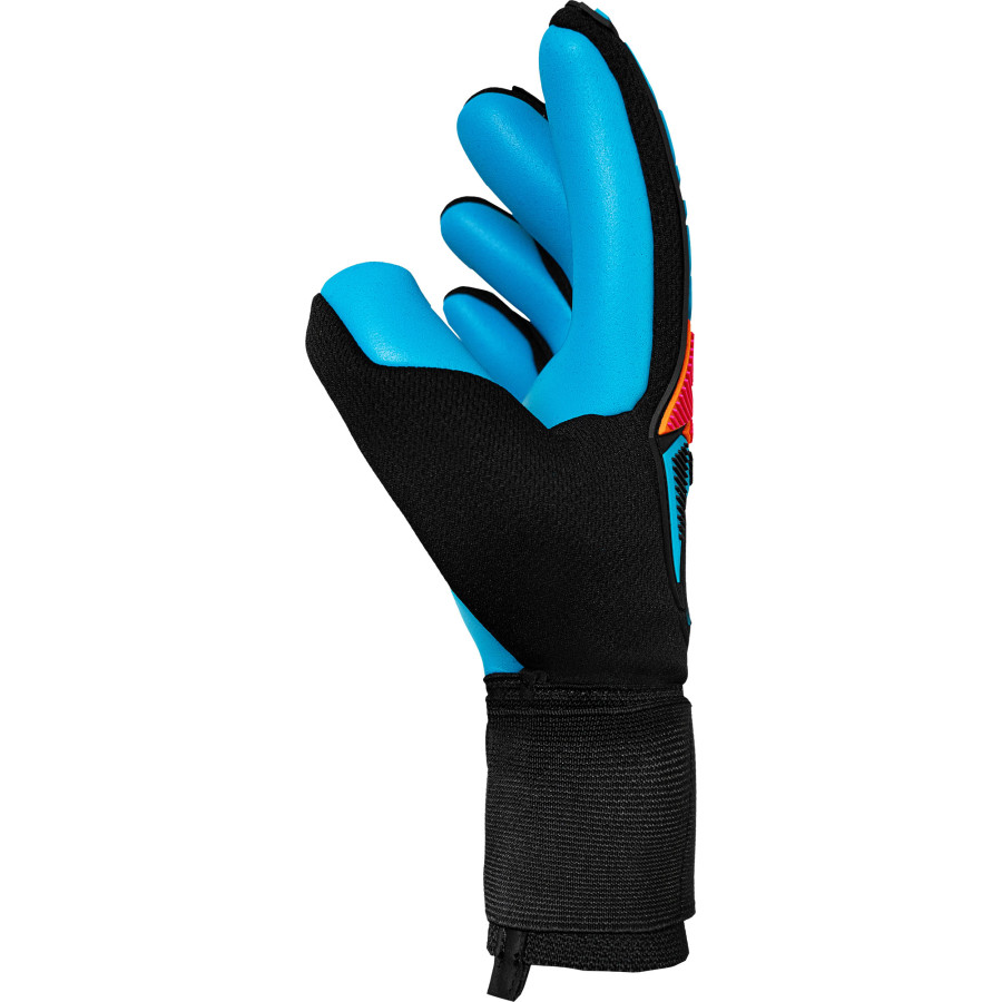Gants gardien Reusch Attrakt Freegel Aqua noir bleu