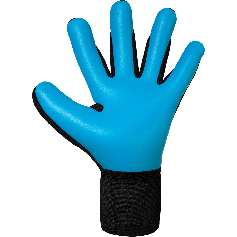 Gants gardien Reusch Attrakt Freegel Aqua noir bleu