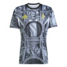 Maillot avant match Juventus Del Piero gris 2025/26