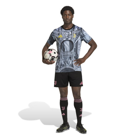 Maillot avant match Juventus Del Piero gris 2025/26