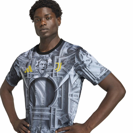 Maillot avant match Juventus Del Piero gris 2025/26