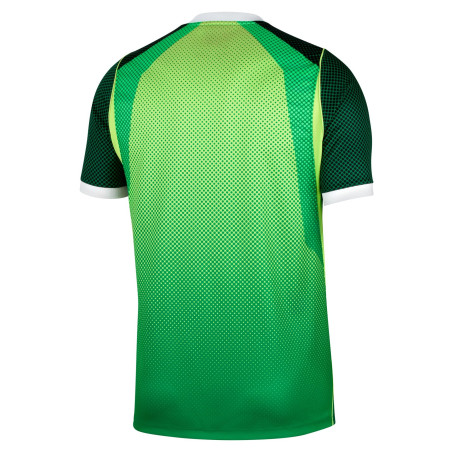 Maillot Nigéria domicile 2026