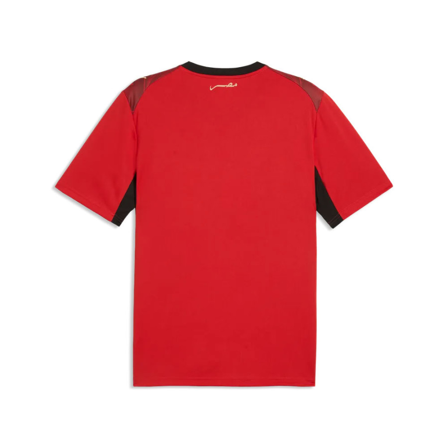 Maillot Egypte domicile 2026