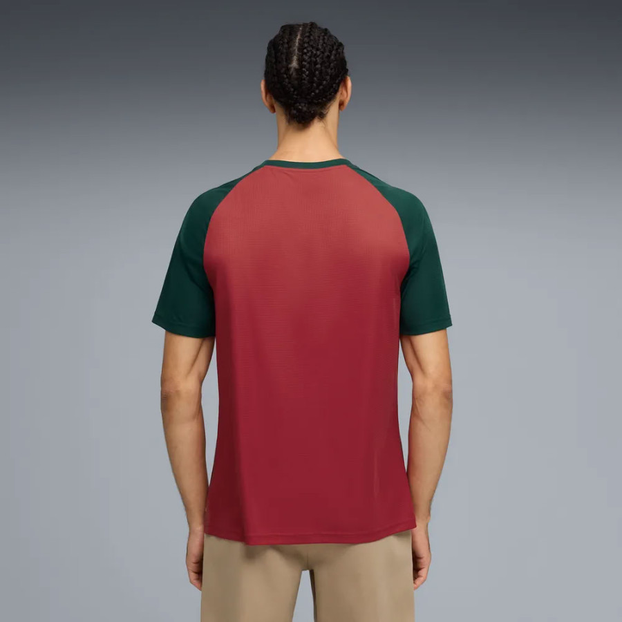 Maillot avant match Maroc rouge vert