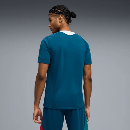 Maillot entraînement Portugal bleu