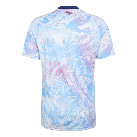 Maillot Costa Rica extérieur 2026