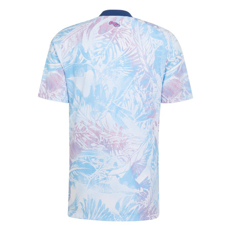 Maillot Costa Rica extérieur authentique 2026