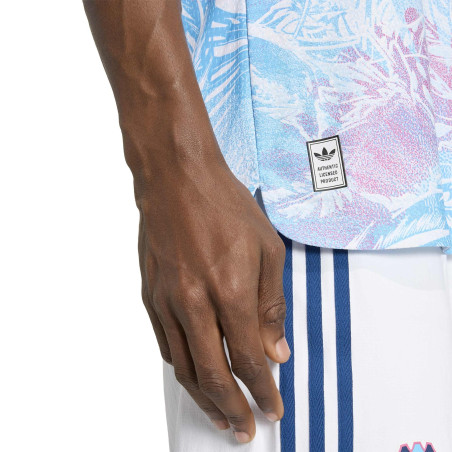 Maillot Costa Rica extérieur authentique 2026