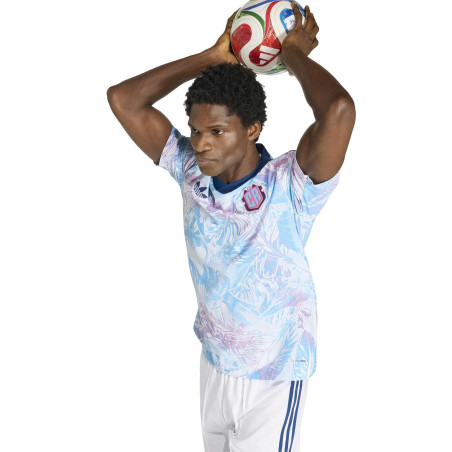 Maillot Costa Rica extérieur authentique 2026