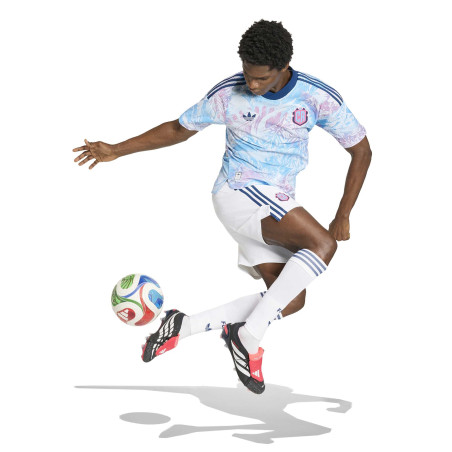 Maillot Costa Rica extérieur authentique 2026