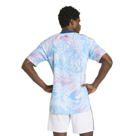 Maillot Costa Rica extérieur authentique 2026