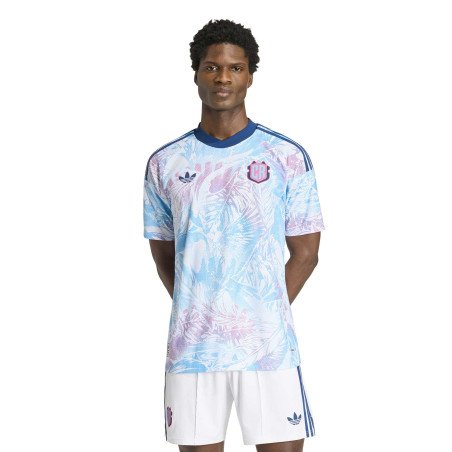 Maillot Costa Rica extérieur authentique 2026