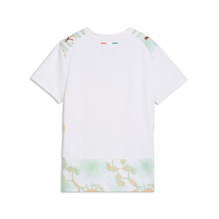 Maillot Côte d'Ivoire extérieur 2026