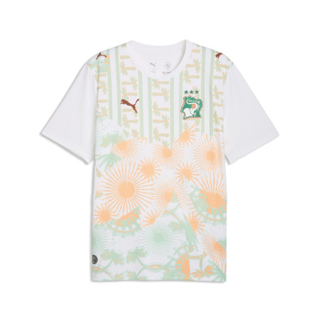 Maillot Côte d'Ivoire extérieur 2026