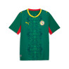 Maillot Sénégal extérieur 2026