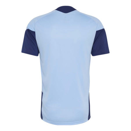 Maillot entraînement Ajax Amsterdam bleu
