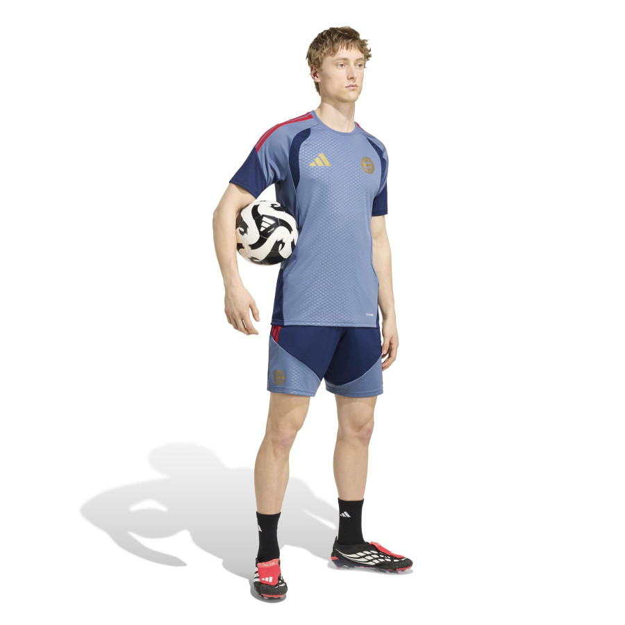 Maillot entraînement Bayern Munich bleu