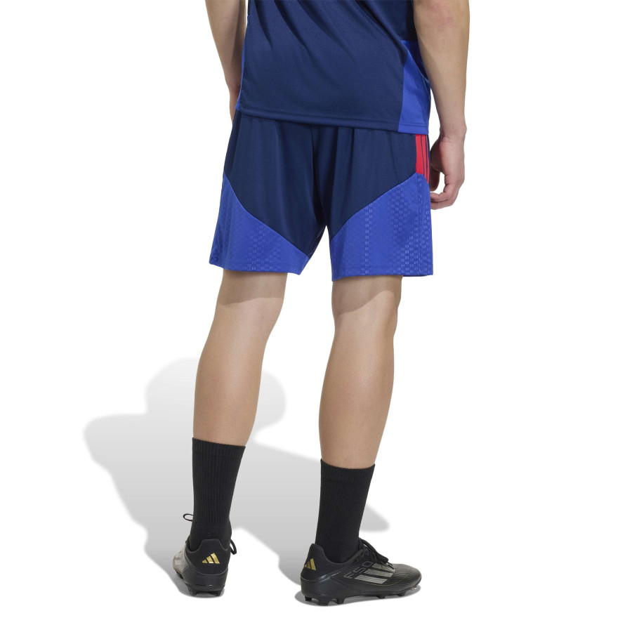 Short entraînement OL bleu rouge