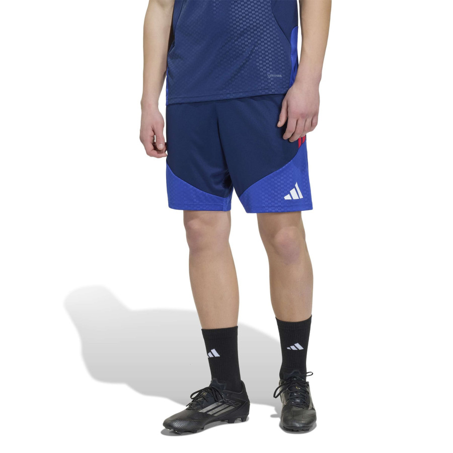 Short entraînement OL bleu rouge