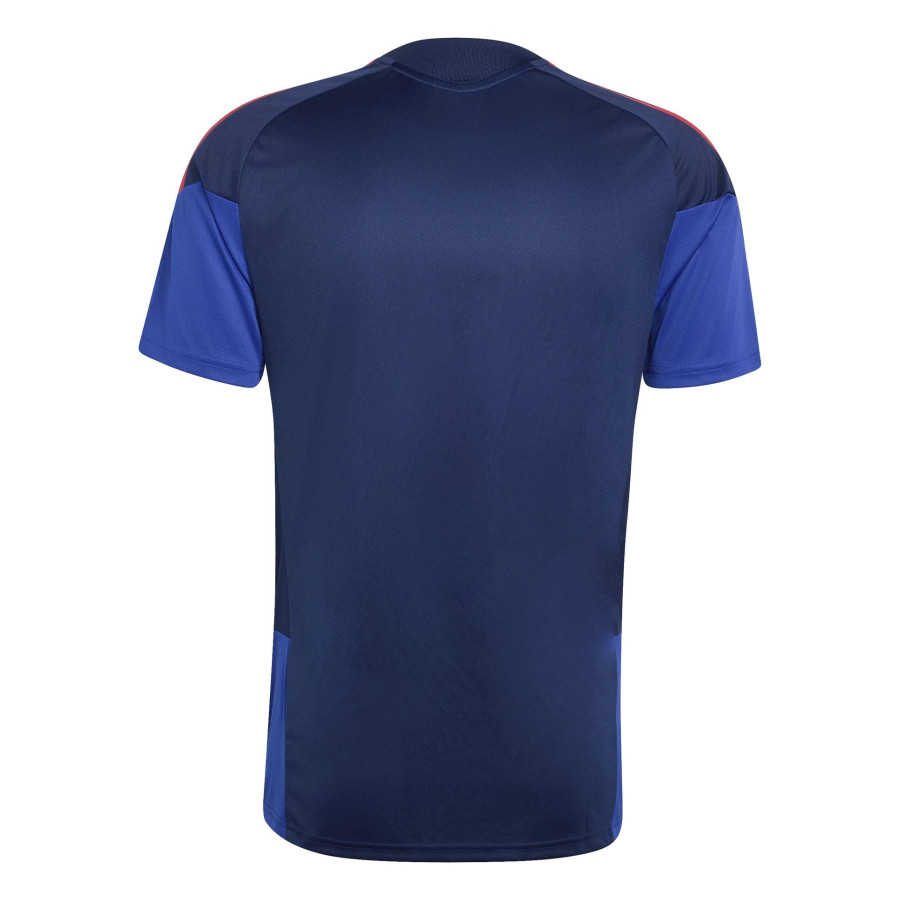 Maillot entraînement OL bleu rouge