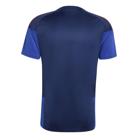 Maillot entraînement OL bleu rouge