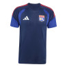 Maillot entraînement OL bleu rouge
