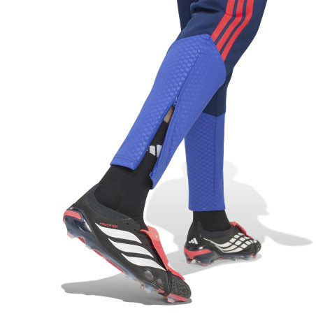 Pantalon survêtement OL bleu rouge