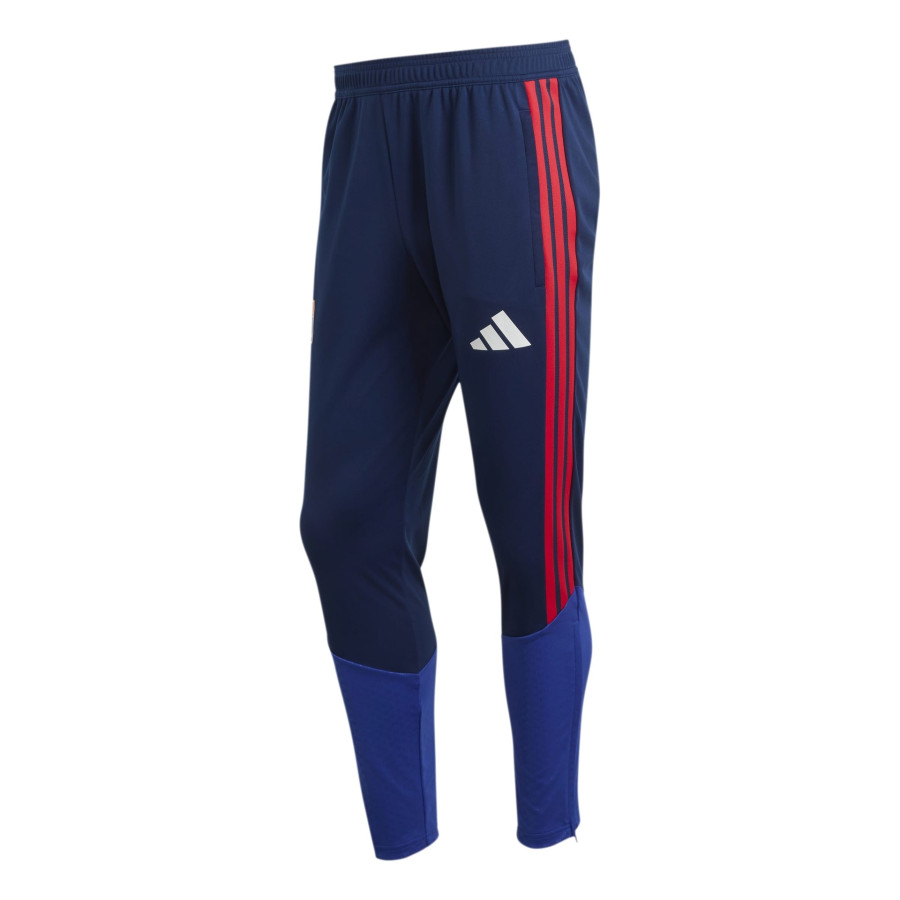 Pantalon survêtement OL bleu rouge