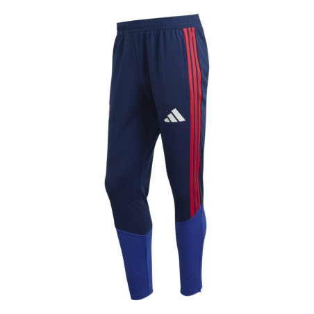 Pantalon survêtement OL bleu rouge