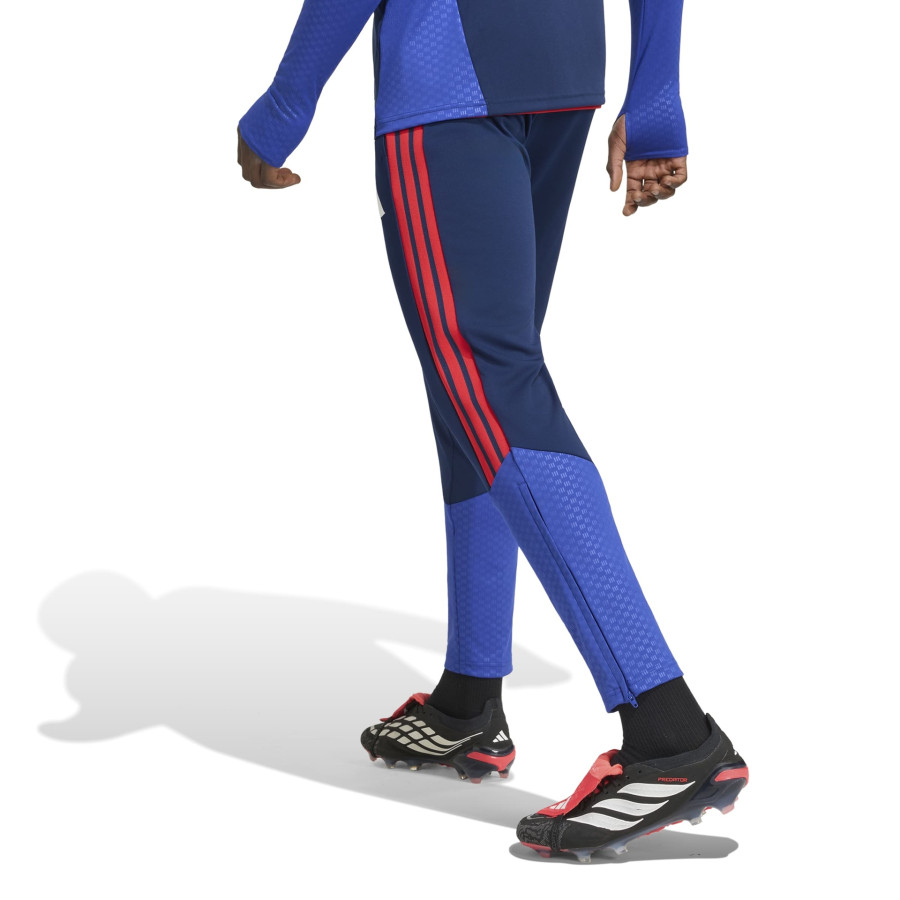 Pantalon survêtement OL bleu rouge