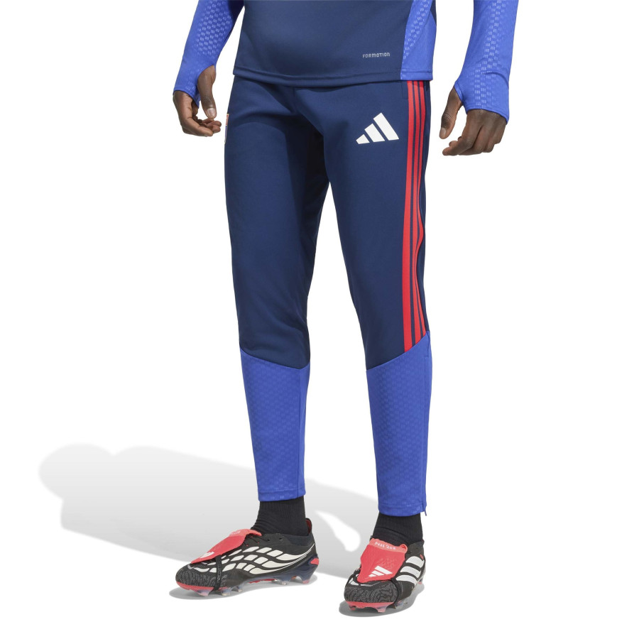 Pantalon survêtement OL bleu rouge