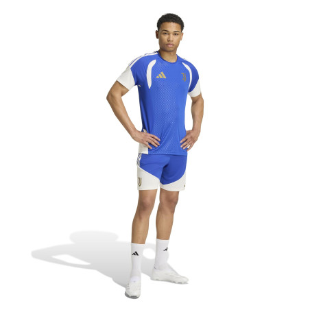 Maillot entraînement Juventus bleu blanc
