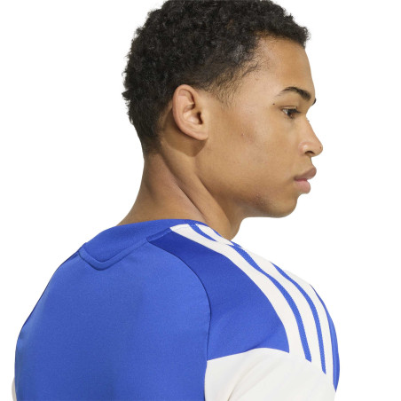 Maillot entraînement Juventus bleu blanc