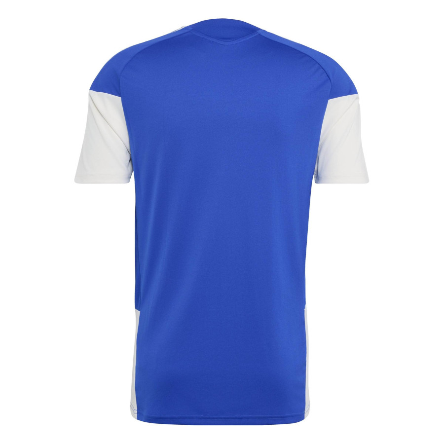 Maillot entraînement Juventus bleu blanc