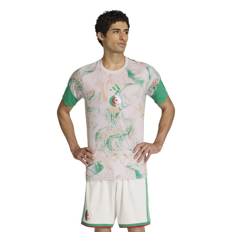Maillot avant match Algérie gris vert