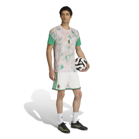 Maillot avant match Algérie gris vert