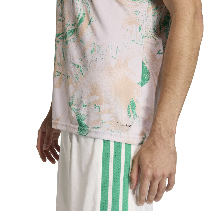 Maillot avant match Algérie gris vert