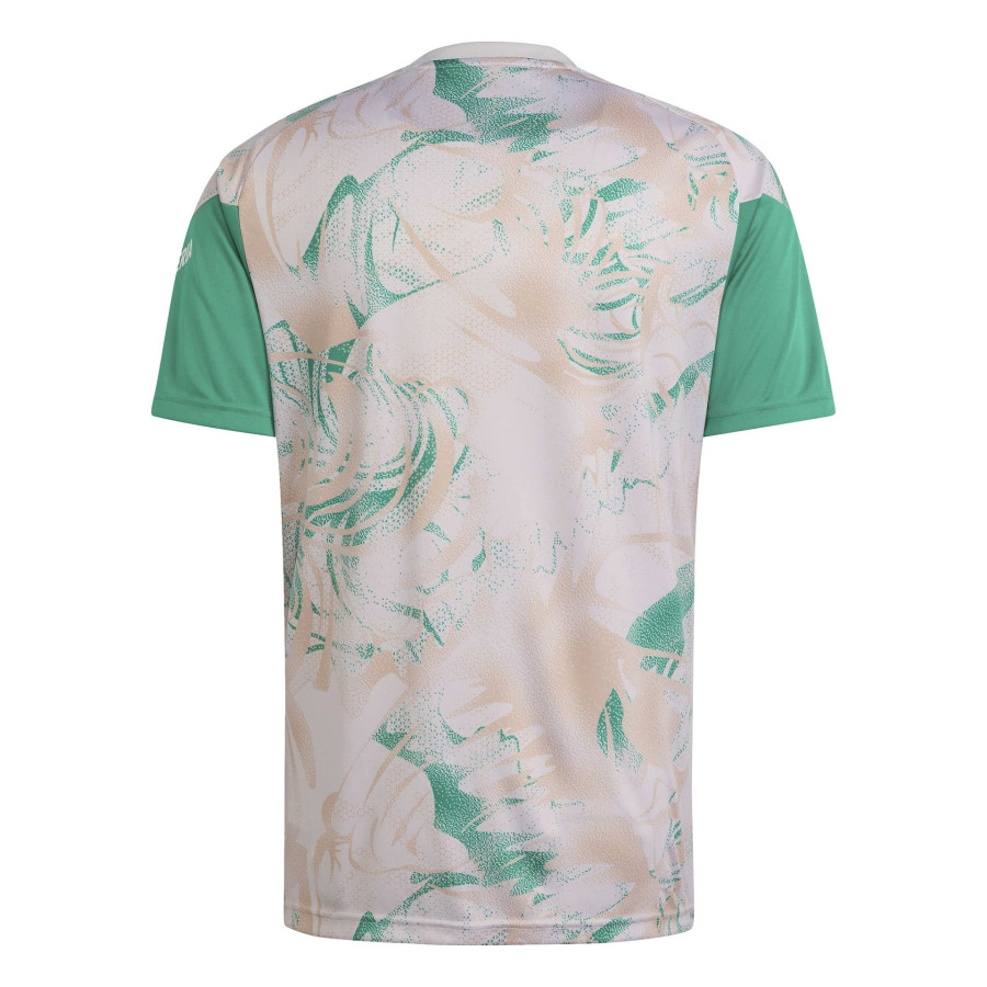 Maillot avant match Algérie gris vert